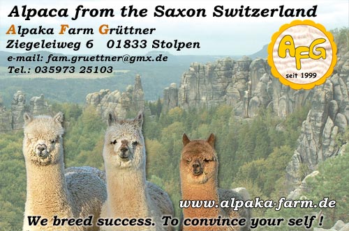 Alpaca from the Saxon Switzerland