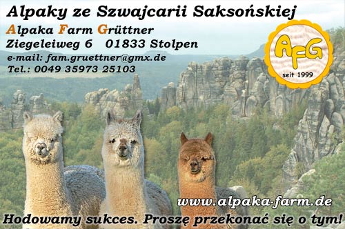 Alpaky ze Szwajcarii Saksonskiej