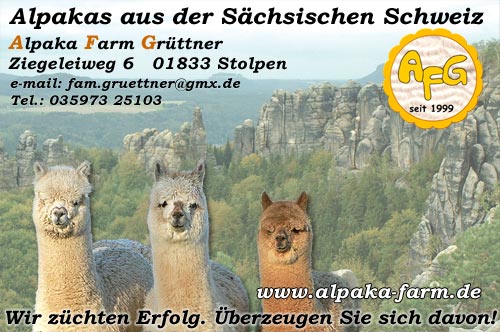 Alpakas aus der Sächsischen Schweiz